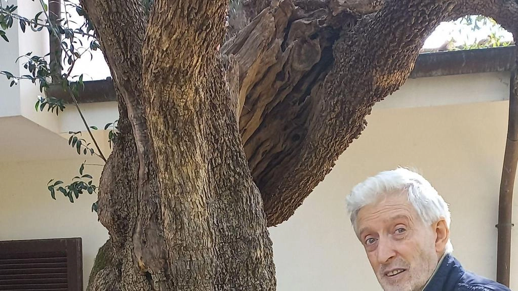 Fabrizio Del Tessa, residente a Pietrasanta, custodisce un olivo plurisecolare nella sua proprietà, testimone di storia e natura da preservare. Fabrizio Del Tessa, residente a Pietrasanta, custodisce un olivo plurisecolare nella sua proprietà, testimone di storia e natura da preservare.
