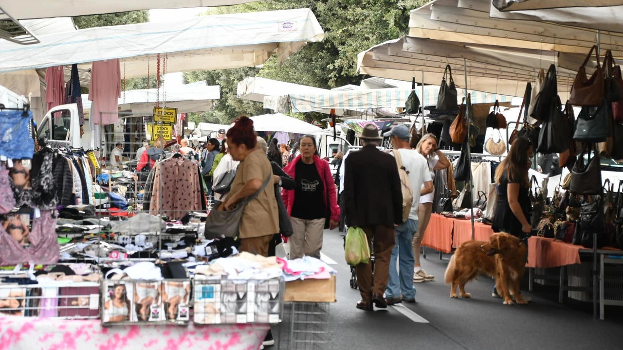 La nuova collocazione del mercato sul viale Roma a Massa (Foto di Paola Nizza) La nuova collocazione del mercato sul viale Roma a Massa (Foto di Paola Nizza)
