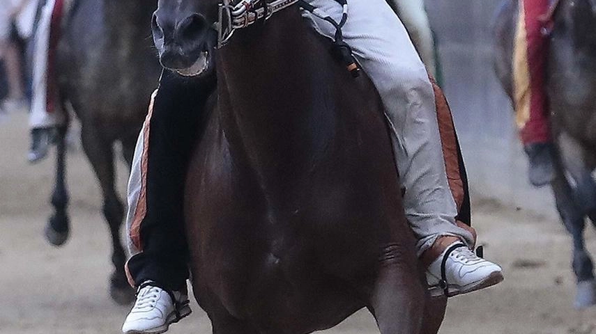 Dino Pes alla sua seconda corsa in 20 anni. Blocca l’Istrice alla mossa, parte primo e comanda per tre giri Dino Pes alla sua seconda corsa in 20 anni. Blocca l’Istrice alla mossa, parte primo e comanda per tre giri