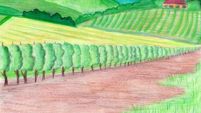 Disegno realizzato dalla 2^ B della Secondaria di primo grado di Terricciola Disegno realizzato dalla 2^ B della Secondaria di primo grado di Terricciola