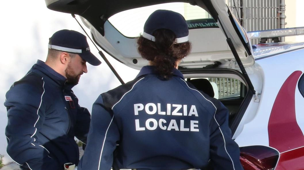 Il morso del cane risale. al 2019 davanti alla scuola media Il morso del cane risale. al 2019 davanti alla scuola media