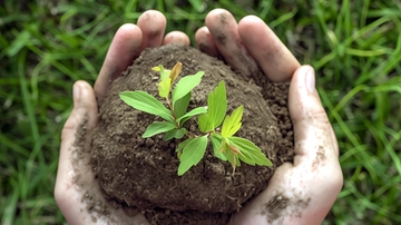 Il valore dell’agricoltura. La Toscana in mostra tra sapere antico e futuro