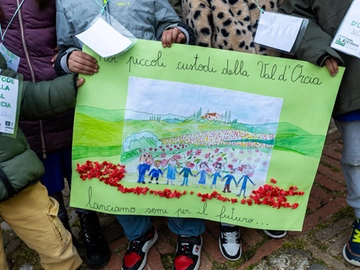 immagine articolo