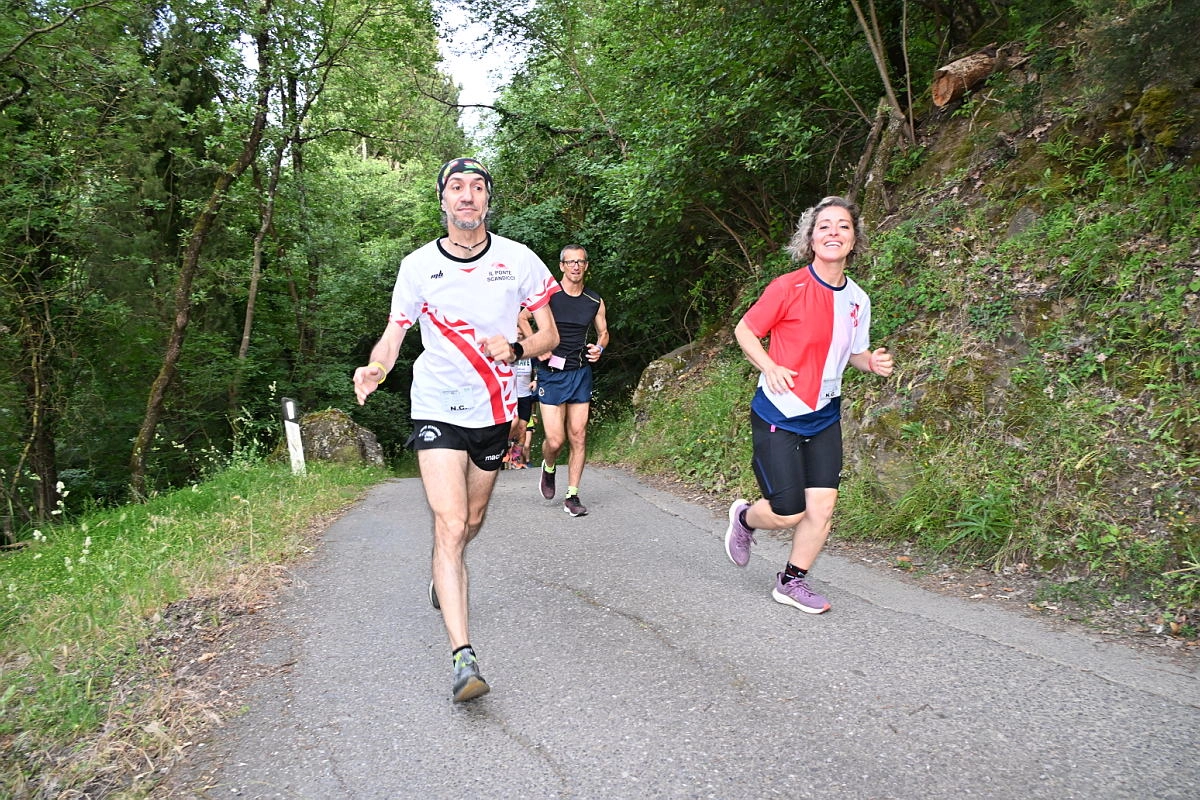 immagine di sfondo 25