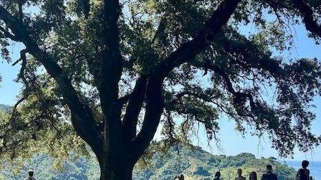 https://www.lanazione.it/image-service/view/acePublic/alias/contentid/ODc4M2M0YzgtOTQ1Yi00/0/il-parco-e-beautiful-studenti-americani-puliscono-il-sentiero-contribuendo-al-decoro.jpeg?f=16:9&w=1200&h=630
