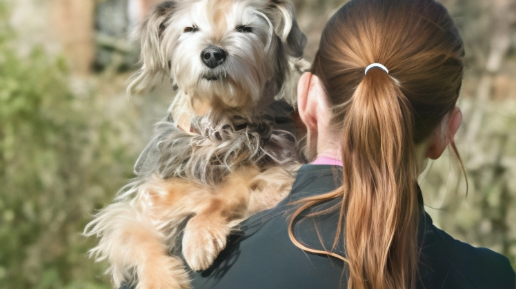 Cibo gratis per un anno a chi adotta un cane o gatto anziano entro il 31 gennaio. E’ questa l’iniziativa... Cibo gratis per un anno a chi adotta un cane o gatto anziano entro il 31 gennaio. E’ questa l’iniziativa...