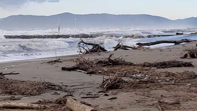 Obbligo sorveglianza sulle spiagge