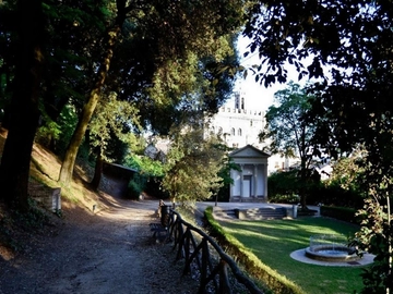 immagine articolo