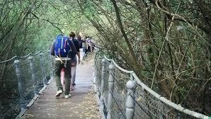 Un pomeriggio di pulizia e decoro nella Riserva Naturale del Lago di Sibolla. Domani dalle 14.30 alle 16.30, si terrà... Un pomeriggio di pulizia e decoro nella Riserva Naturale del Lago di Sibolla. Domani dalle 14.30 alle 16.30, si terrà...