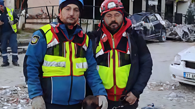 Aperte le iscrizioni per il corso di Educatore cinofilo a Grosseto, diretto dal dottor Alessio Pernazza. Lezioni teoriche in presenza e online, con focus sulla relazione e socializzazione dei cani. Aperte le iscrizioni per il corso di Educatore cinofilo a Grosseto, diretto dal dottor Alessio Pernazza. Lezioni teoriche in presenza e online, con focus sulla relazione e socializzazione dei cani.