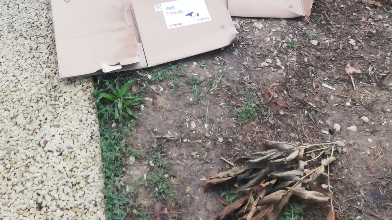 Il Parco Pascoletti è diventato un’attrazione per Ponte San Giovanni: a frequentarlo i residenti ma anche persone che arrivano da...