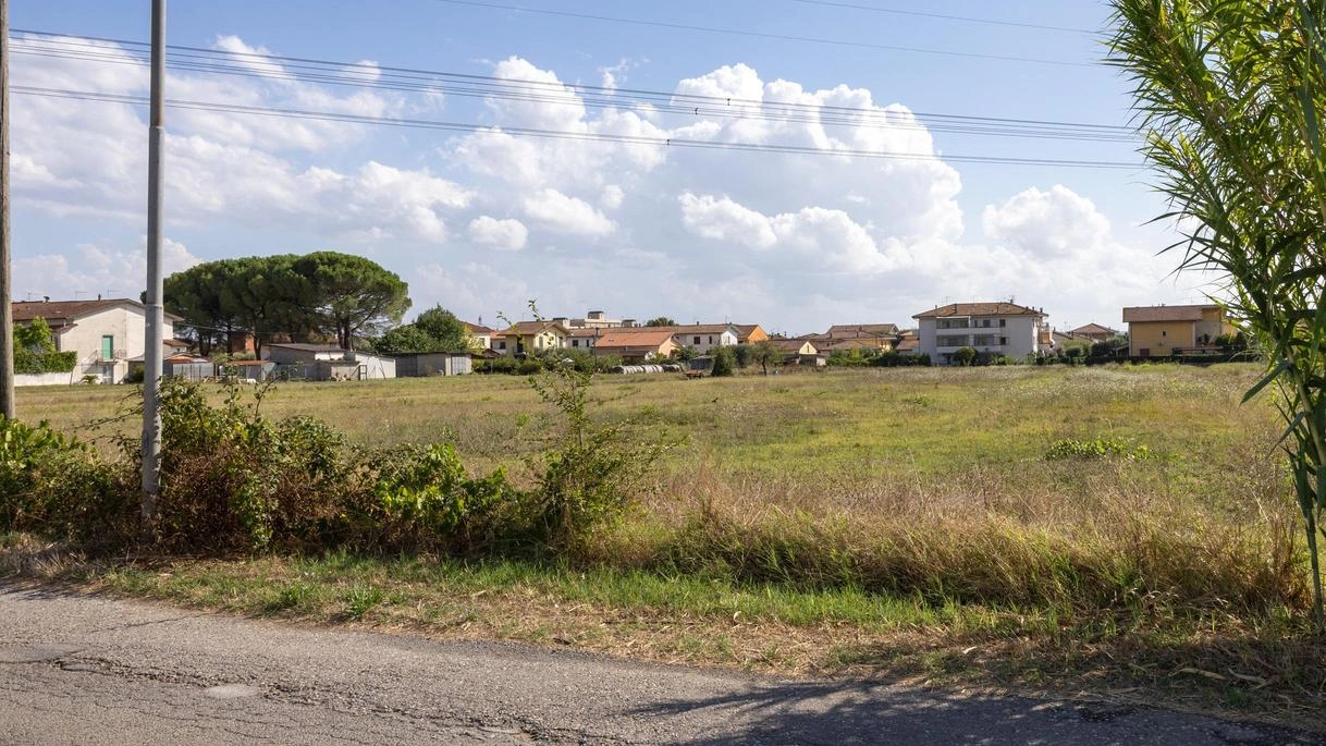 Il terreno a Cintolese dove sorgerà la nuova scuola (Goiorani)