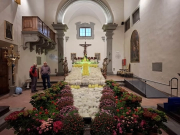 immagine articolo