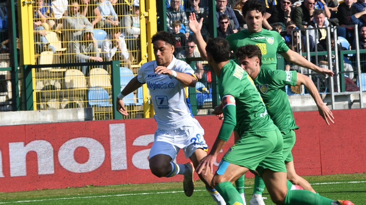 Carrarese-Frosinone (Foto Delia) Carrarese-Frosinone (Foto Delia)
