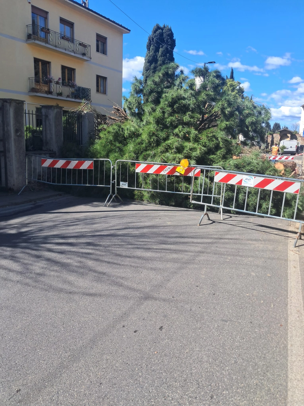 immagine di sfondo 1