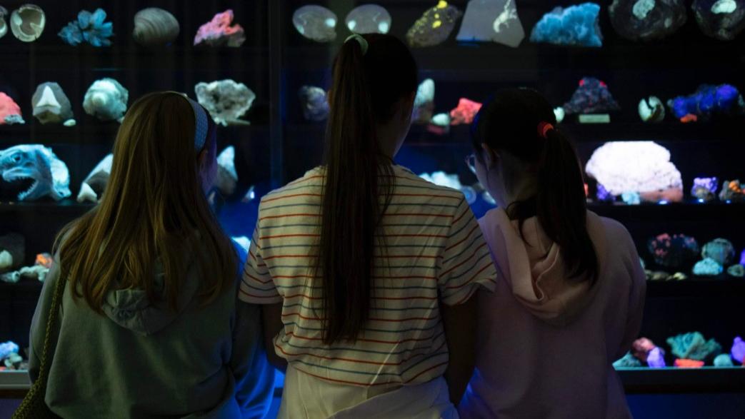 scandicci al gamps una serata sotto le stelle tra paleontologia musica e teatro