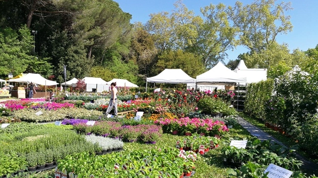 L'Agrifiera di Pontasserchio