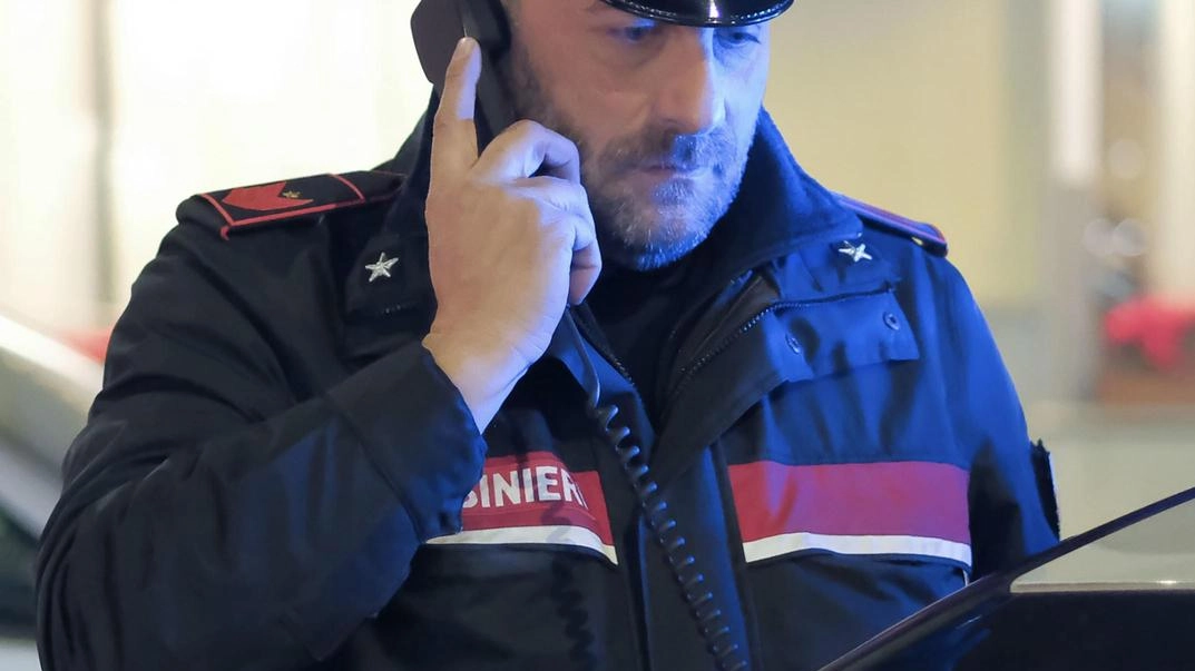 Le indagini sono state svolte dai carabinieri di San Giovanni alla Vena (Vico), foto di repertorio Le indagini sono state svolte dai carabinieri di San Giovanni alla Vena (Vico), foto di repertorio