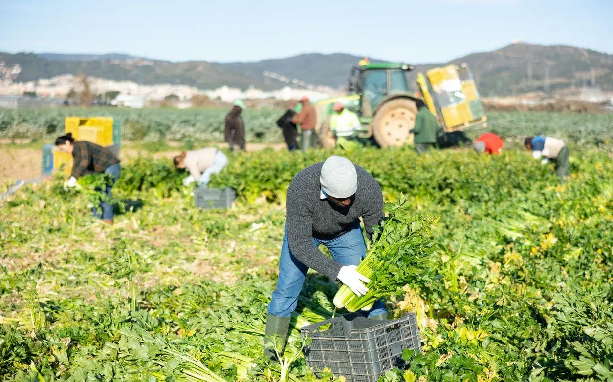 Lotta contro il caporalato in agricoltura. Rinnovato il protocollo