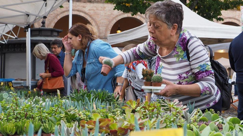 All’ex mercato dei fiori con ’Inflorum’ spazio agli appassionati di giardinaggio All’ex mercato dei fiori con ’Inflorum’ spazio agli appassionati di giardinaggio