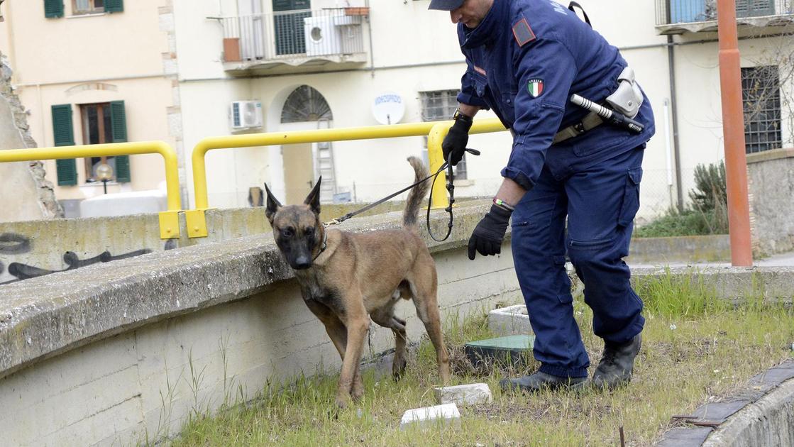 https://www.lanazione.it/image-service/view/acePublic/alias/contentid/ODkxOTFmMGUtYjYzYy00/0/grosseto-safe-in-azione-poca-igiene-locale-chiuso.jpeg?f=16:9&w=1200&h=630