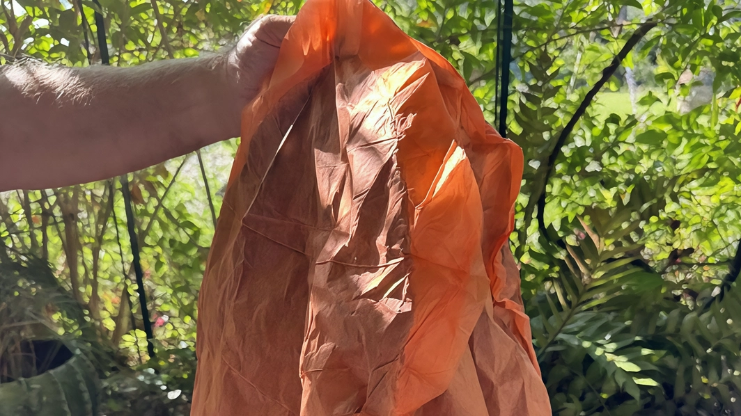Lupo Rattazzi denuncia il ritrovamento di una lanterna cinese bruciata nel giardino della villa a Santa Liberata, Monte Argentario. Sospetti di pericolo e rischio incendi. Denuncia ai carabinieri. Lupo Rattazzi denuncia il ritrovamento di una lanterna cinese bruciata nel giardino della villa a Santa Liberata, Monte Argentario. Sospetti di pericolo e rischio incendi. Denuncia ai carabinieri.