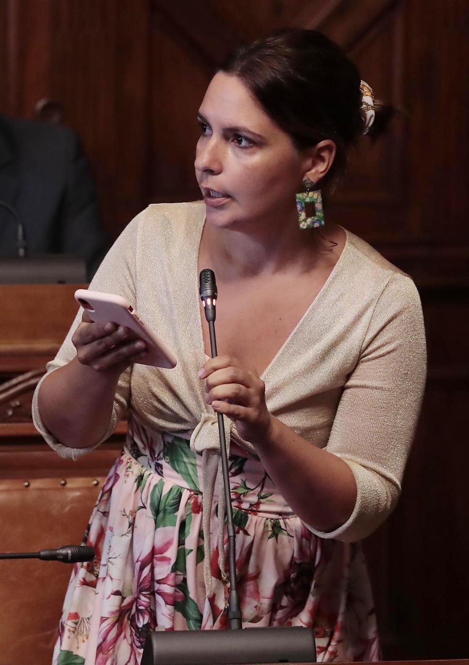 Ferretti nuovo capogruppo del Pd. Mazzarelli resiste: "Non mi dimetto" Ferretti nuovo capogruppo del Pd. Mazzarelli resiste: "Non mi dimetto"
