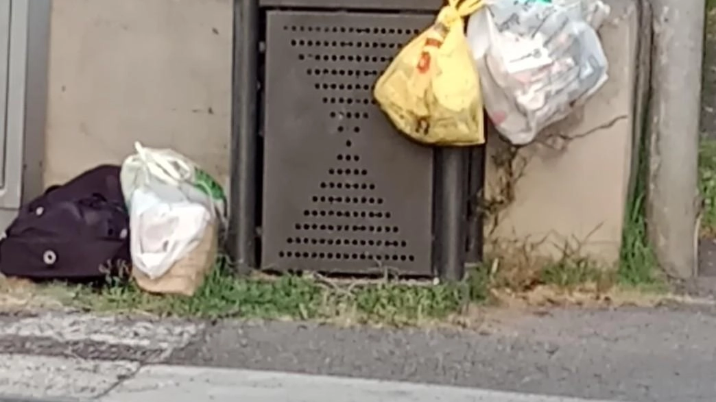 A marzo entrerà in funzione un sistema di controllo per la ricicleria. Spazzatrici ad Avenza e codice a barre sui sacchetti del tutto inutili. Si studiano correttivi per far fronte ai furbetti dei rifiuti. A marzo entrerà in funzione un sistema di controllo per la ricicleria. Spazzatrici ad Avenza e codice a barre sui sacchetti del tutto inutili. Si studiano correttivi per far fronte ai furbetti dei rifiuti.