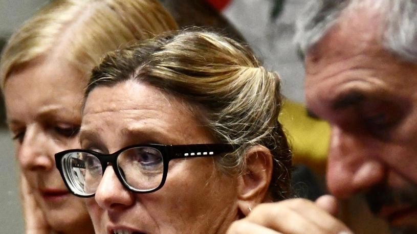 La sindaca Arrighi in consiglio