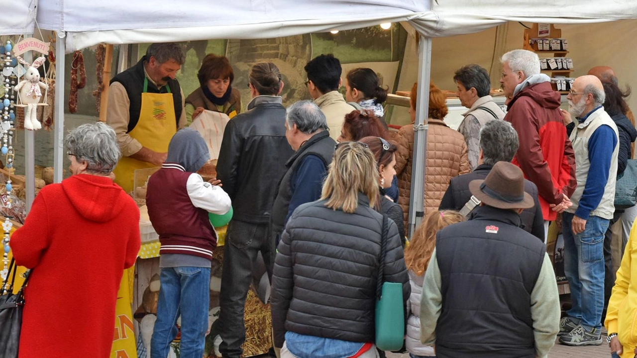 La mostra dell’artigianato torna sul lungomare di Follonica, con un’iniziativa promossa da Cna Grosseto La mostra dell’artigianato torna sul lungomare di Follonica, con un’iniziativa promossa da Cna Grosseto