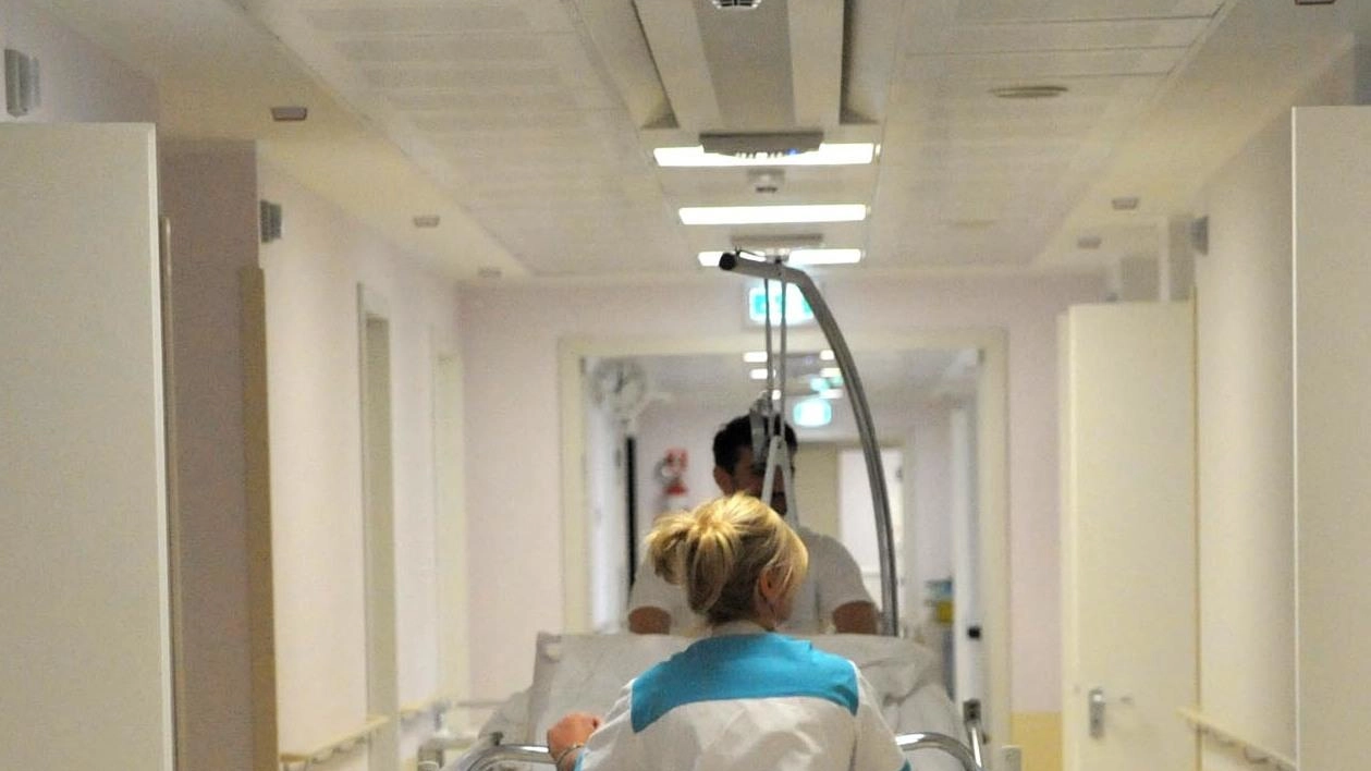 Domenica Pieroni, ex commerciante di 95 anni, era morta nel luglio 2022 con piaghe da decubito Domenica Pieroni, ex commerciante di 95 anni, era morta nel luglio 2022 con piaghe da decubito