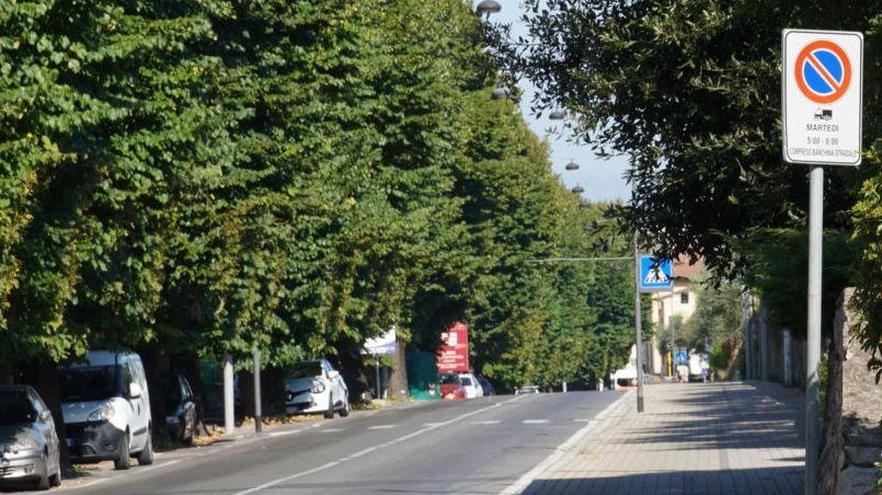 Il tratto di via Firenze che verrà interessato dalle operazioni di potatura Il tratto di via Firenze che verrà interessato dalle operazioni di potatura