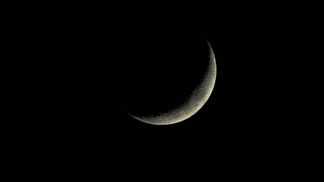 Luna Nera (foto Ansa)