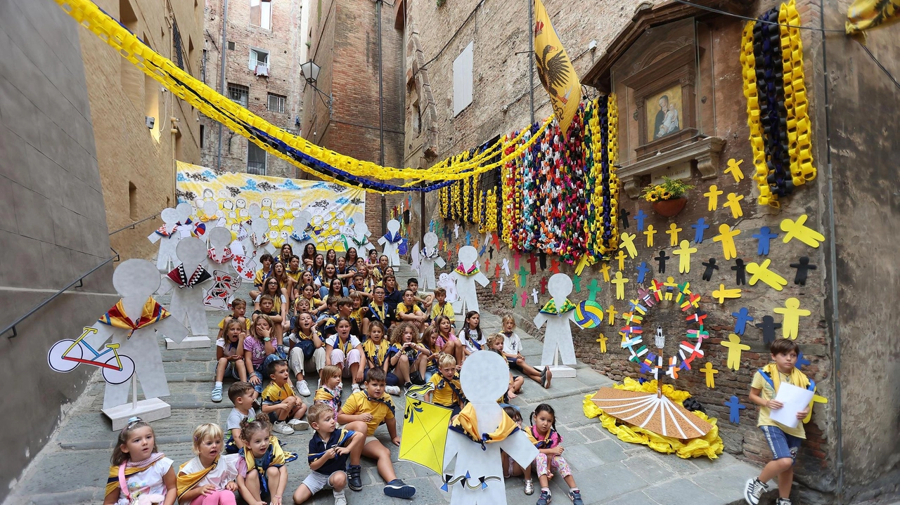 La commissione ieri sera ha effettuato il giro dei 17 allestimenti. Come sempre la proclamazione dei vincitori l’8 dicembre. La commissione ieri sera ha effettuato il giro dei 17 allestimenti. Come sempre la proclamazione dei vincitori l’8 dicembre.