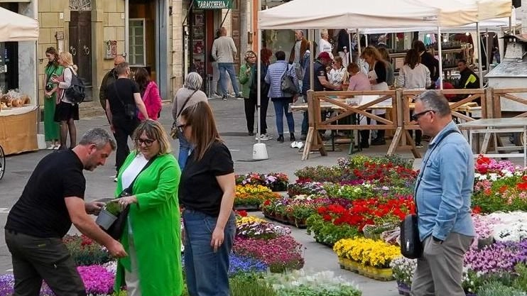 A Foiano un weekend di festa segnato dalla pioggia, ma grande successo di pubblico per il dolce pasquale al centro concorso