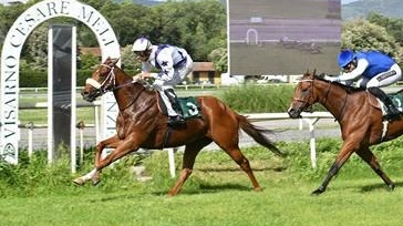 Uno spettacolare arrivo al ‘Cesare Meli’ di una corsa di galoppo