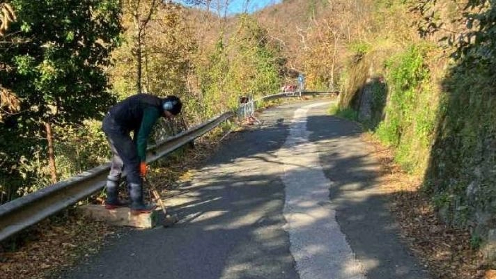Approvato dal Comune l’intervento necessario che costerà 55mila euro. Il cedimento anni fa per la mancanza delle opere di regimazione delle acque. Approvato dal Comune l’intervento necessario che costerà 55mila euro. Il cedimento anni fa per la mancanza delle opere di regimazione delle acque.