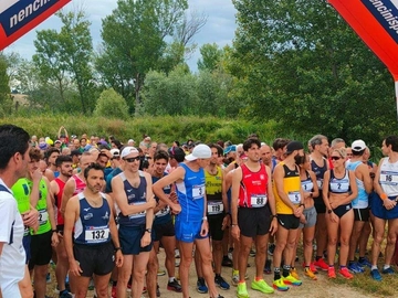 immagine articolo