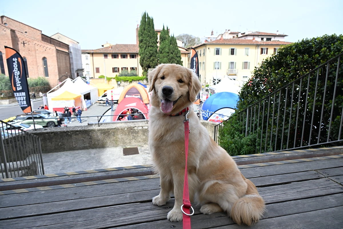 immagine di sfondo 14