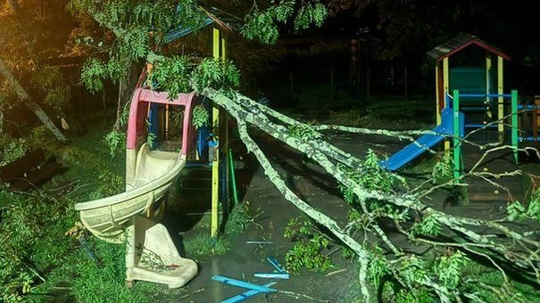 Uno degli alberi caduti al parco giochi comunale di Riccò del Golfo Uno degli alberi caduti al parco giochi comunale di Riccò del Golfo