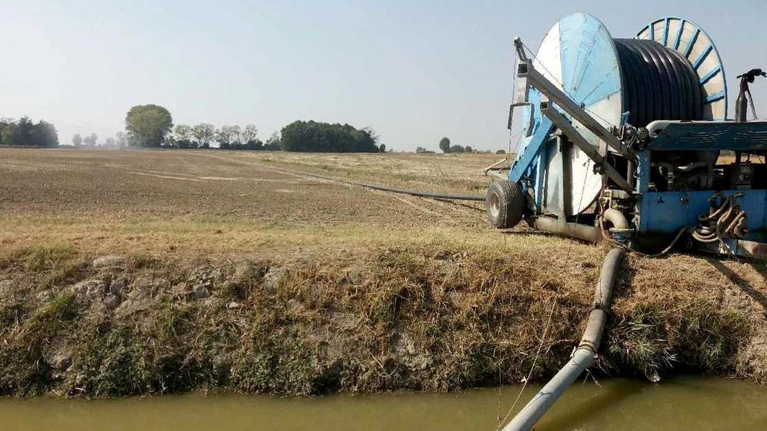 SICCITA' CAMPI CODIGORO DA CALDERONI