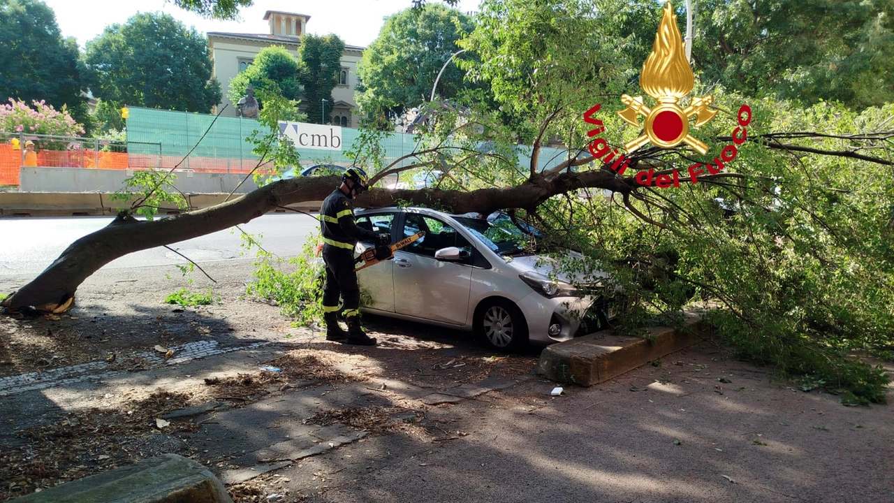 Il grosso ramo caduto sulle auto in viale Gramsci e l'intervento dei vigili del fuoco Il grosso ramo caduto sulle auto in viale Gramsci e l'intervento dei vigili del fuoco