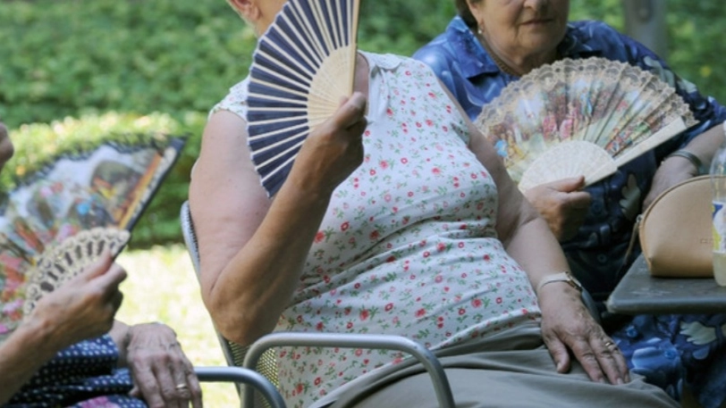 Anziani (foto Ansa) Anziani (foto Ansa)