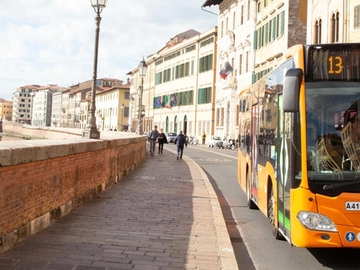 immagine articolo