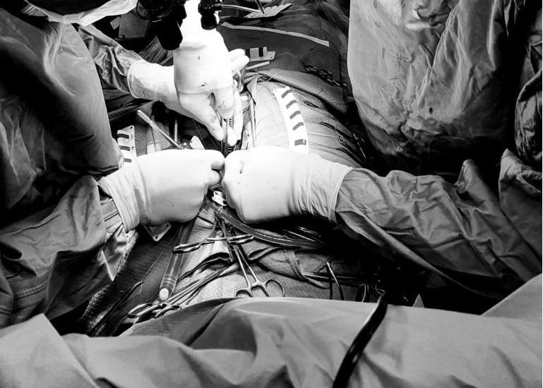 ostetriche usl aoup racconteranno