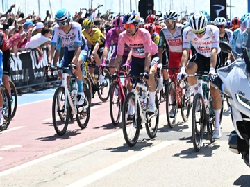immagine articolo
