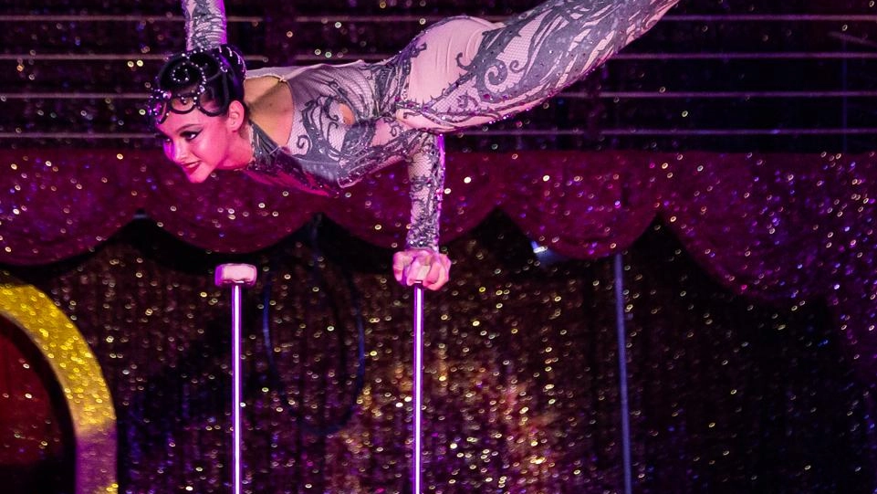 Natale al circo. Per la prima volta a Montecatini quest’anno per il 25 dicembre si terrà lo spettacolo degli acrobati... Natale al circo. Per la prima volta a Montecatini quest’anno per il 25 dicembre si terrà lo spettacolo degli acrobati...