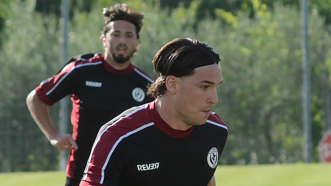 Arezzo, si parte per il ritiro Cutolo in pressing su De Col