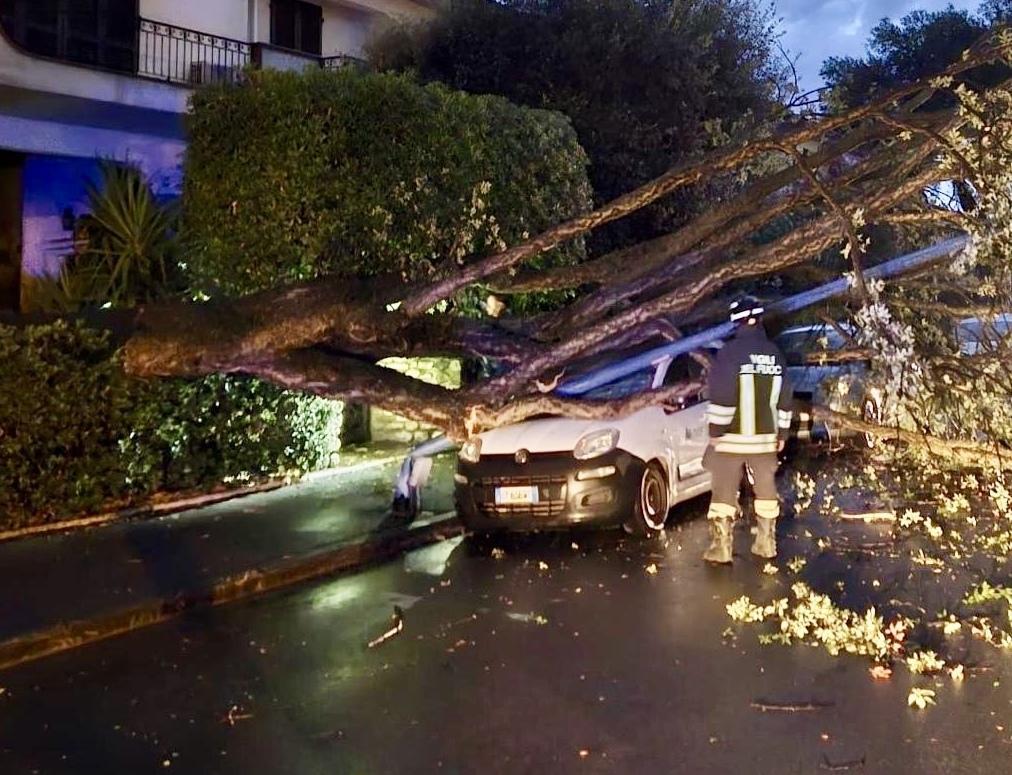 https://www.lanazione.it/image-service/view/acePublic/alias/contentid/OGNhOGNhZjAtOGJhYS00/0/unaltra-notte-di-tempesta-alberi-finiti-sulle-auto-incidente-con-due-feriti.jpeg?f=1.91:1&w=1200