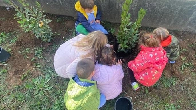 Festa per la Giornata nazionale degli alberi a Seravezza: bambini piantano cipresso nel Parco della Rimembranza per sensibilizzare sull'importanza della tutela ambientale e della memoria storica. Festa per la Giornata nazionale degli alberi a Seravezza: bambini piantano cipresso nel Parco della Rimembranza per sensibilizzare sull'importanza della tutela ambientale e della memoria storica.